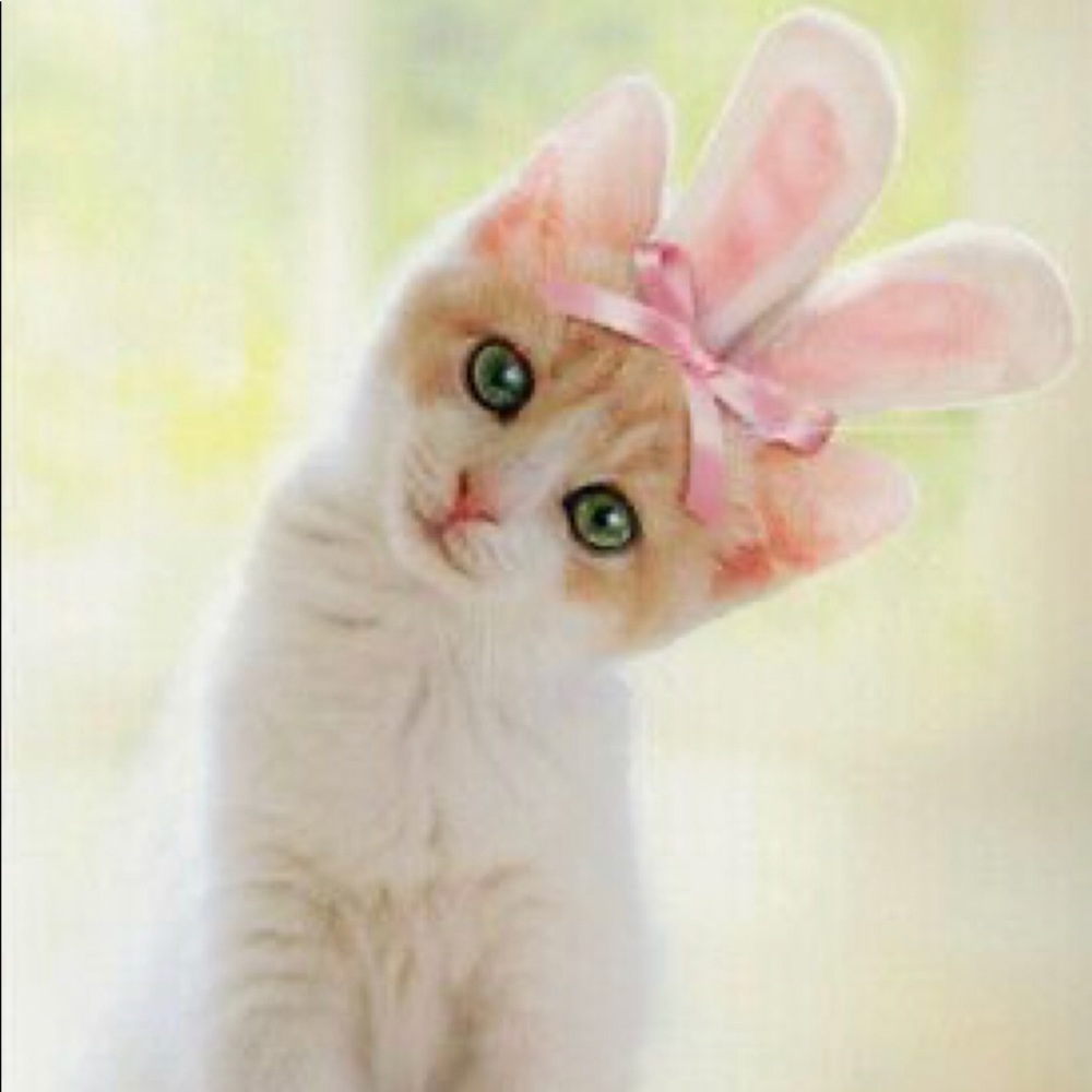 Meet your Posher, Daniela